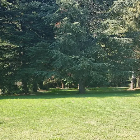 Le Moulin De Barette - Proche Le Puy-en-velay Blavozy