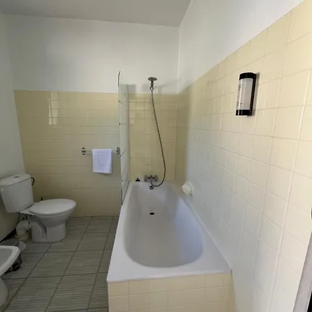 Hotel Le Moulin De Barette Blavozy