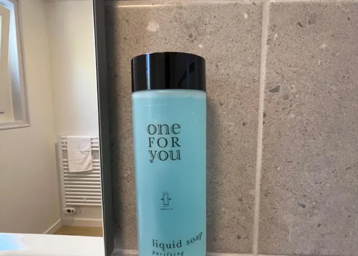 Le Moulin De Barette - Proche Le Puy-en-velay Szálloda 3*